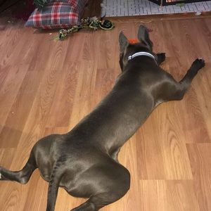 Meet your Posher, Angelina